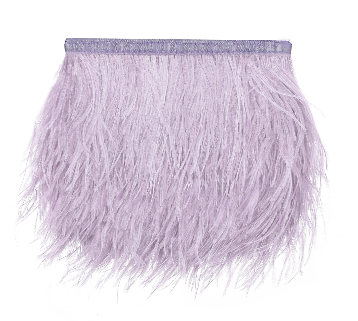 Natural & Soft Ostrich Feathers Fringe Trims Ribbons