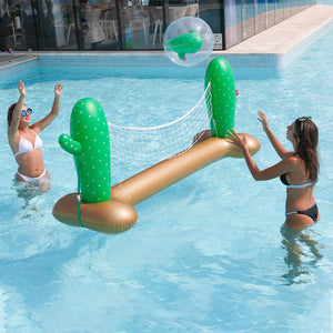 AirMyFun Cactus Volleyball Set For Active Fun 270cm Long
