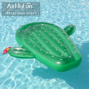 AirMyFun Inflatable Cactus Pool Float 169cm Long