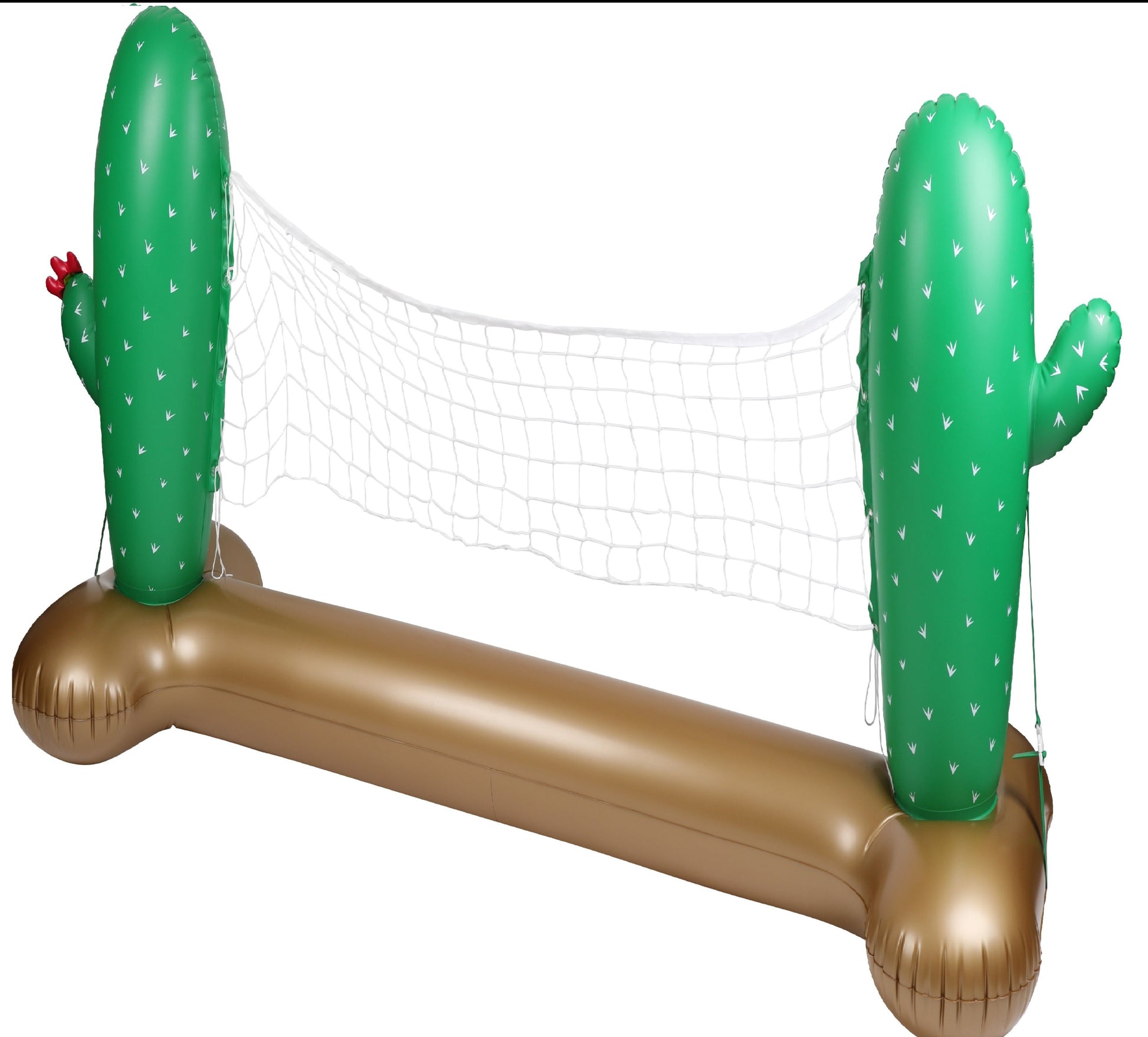 AirMyFun Cactus Volleyball Set For Active Fun 270cm Long